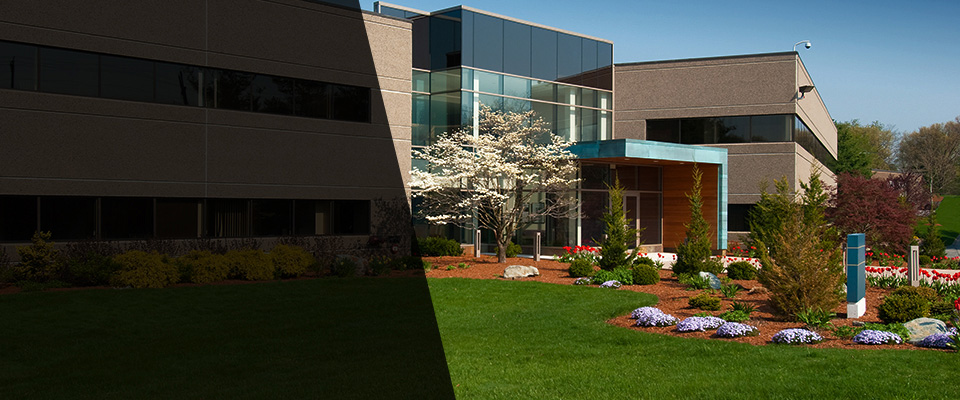 Tunnel Hill Landscapers
