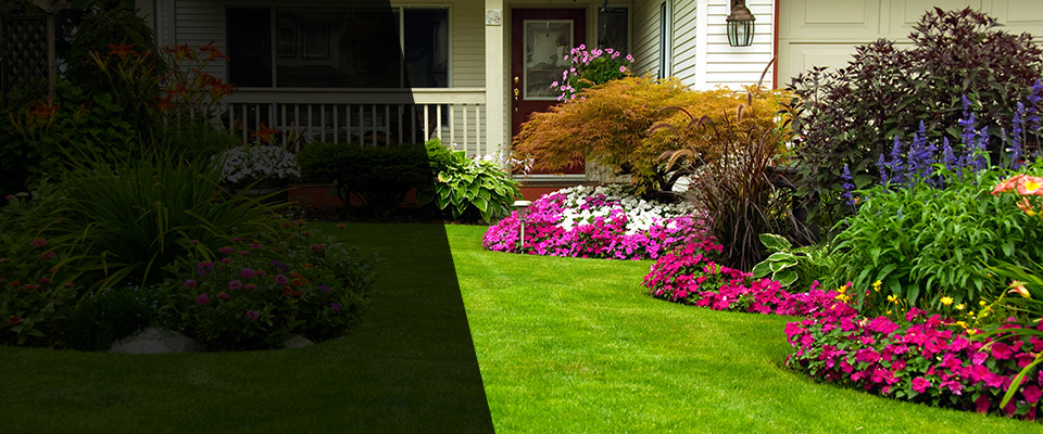 Tunnel Hill Landscapers