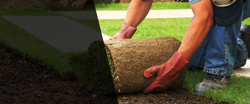 Tunnel Hill Landscapers